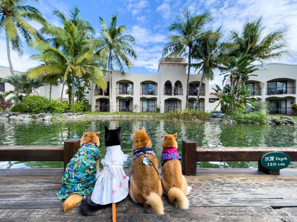 Promisedland Resort & Lagoon Шоуфен Екстер'єр фото Pets at the hotel