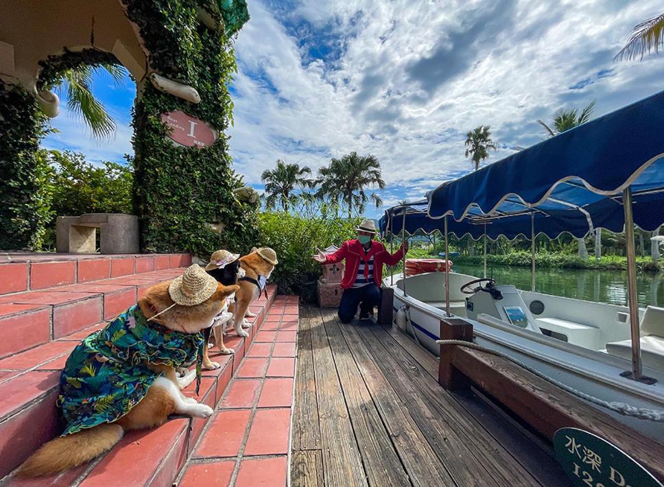 Promisedland Resort & Lagoon Шоуфен Екстер'єр фото Dogs on a boat at the park